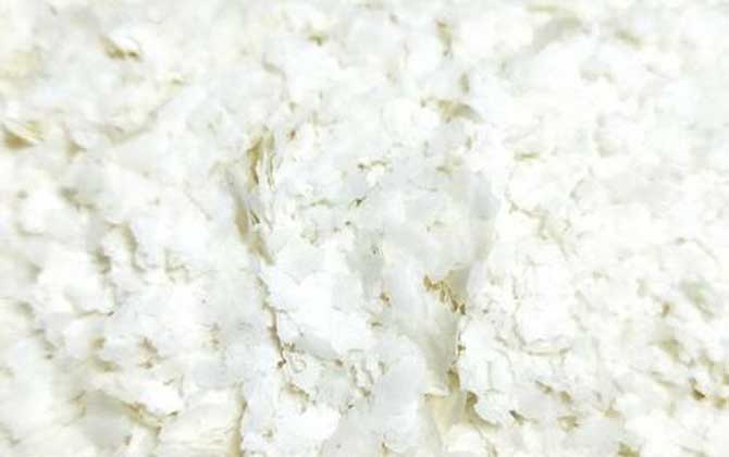 雪花粉饵料怎么使用？-第2张图片
