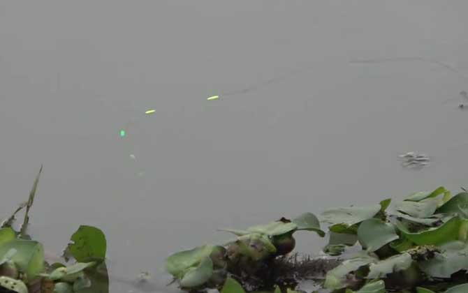 七星漂钓大鱼好用不？-第2张图片