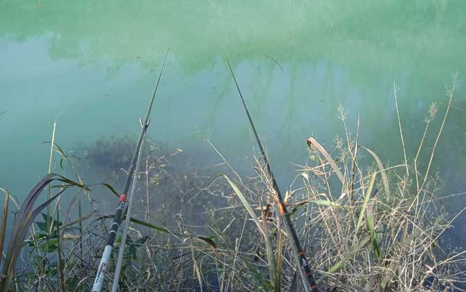 野钓走水严重能钓吗？-第3张图片