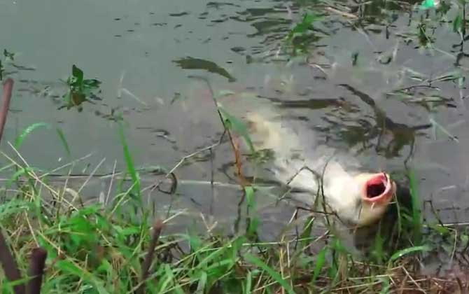 西北风钓鱼最佳钓位和时间-第2张图片