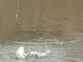 冬季钓鱼口诀大全